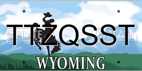 TTZQSST Wyoming License Plate