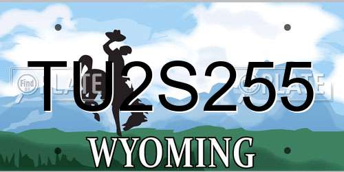 TU2S255 Wyoming License Plate