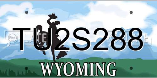 TU2S288 Wyoming License Plate