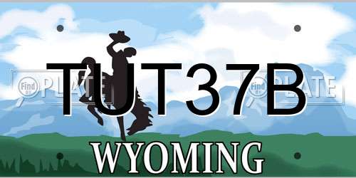 TUT37B Wyoming License Plate