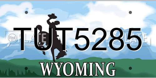 TUT5285 Wyoming License Plate