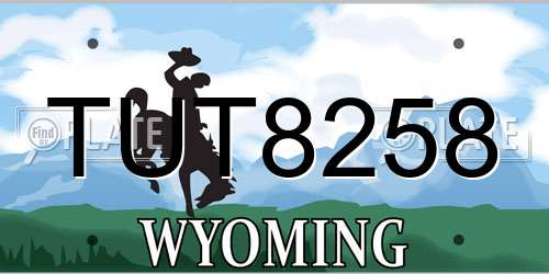TUT8258 Wyoming License Plate