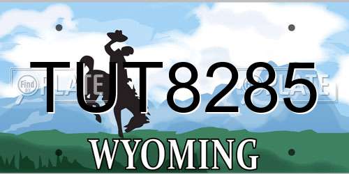 TUT8285 Wyoming License Plate