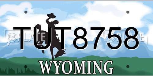 TUT8758 Wyoming License Plate
