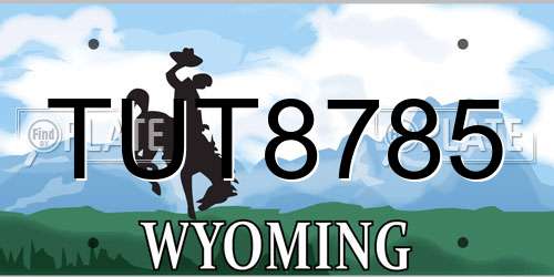 TUT8785 Wyoming License Plate