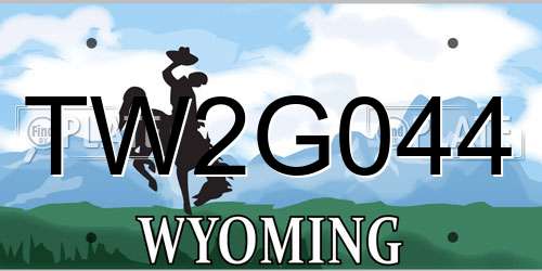 TW2G044 Wyoming License Plate