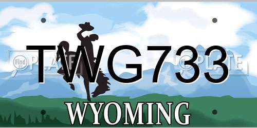 TWG733 Wyoming License Plate