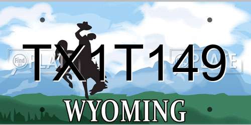 TX1T149 Wyoming License Plate