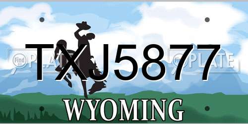 TXJ5877 Wyoming License Plate