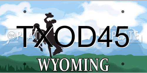 TXOD45 Wyoming License Plate