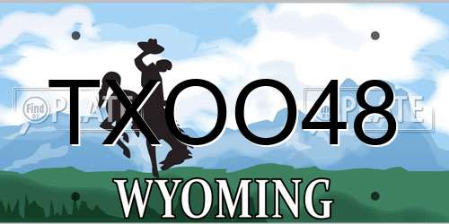 TXOO48 Wyoming License Plate
