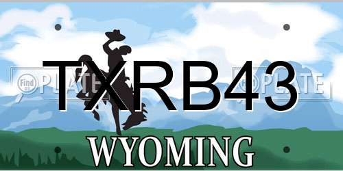 TXRB43 Wyoming License Plate