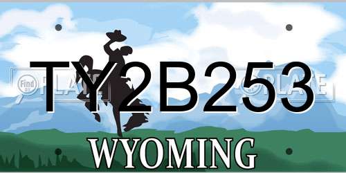 TY2B253 Wyoming License Plate