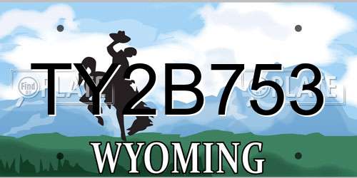 TY2B753 Wyoming License Plate