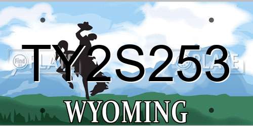 TY2S253 Wyoming License Plate
