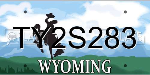 TY2S283 Wyoming License Plate