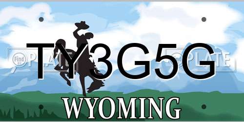 TY3G5G Wyoming License Plate