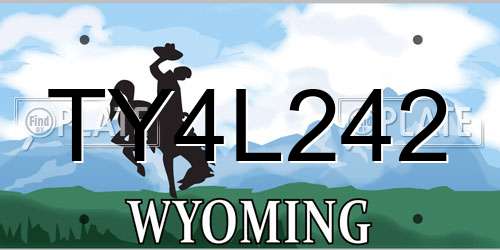 TY4L242 Wyoming License Plate