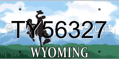 TY56327 Wyoming License Plate