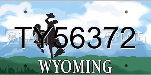 TY56372 Wyoming License Plate