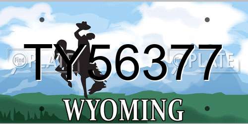 TY56377 Wyoming License Plate