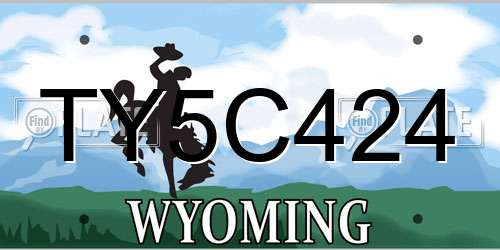 TY5C424 Wyoming License Plate