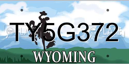 TY5G372 Wyoming License Plate