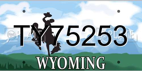 TY75253 Wyoming License Plate