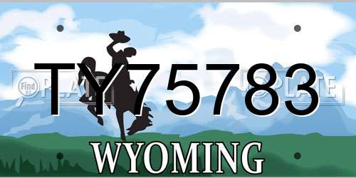 TY75783 Wyoming License Plate