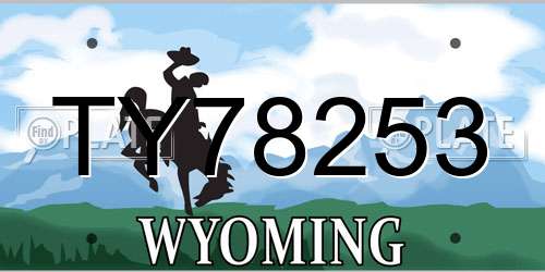 TY78253 Wyoming License Plate