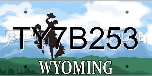 TY7B253 Wyoming License Plate