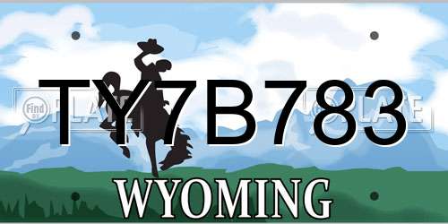 TY7B783 Wyoming License Plate