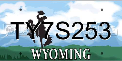 TY7S253 Wyoming License Plate