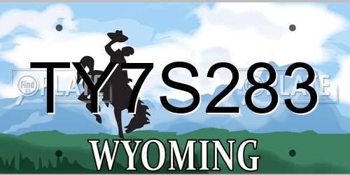 TY7S283 Wyoming License Plate