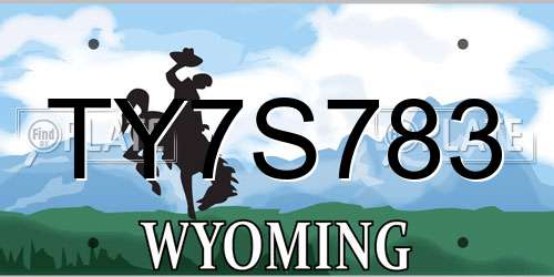 TY7S783 Wyoming License Plate