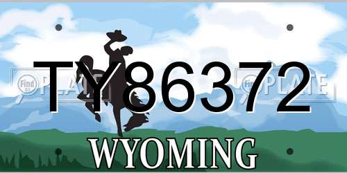 TY86372 Wyoming License Plate