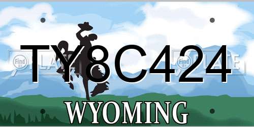 TY8C424 Wyoming License Plate