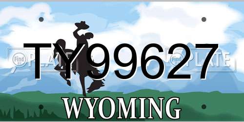 TY99627 Wyoming License Plate