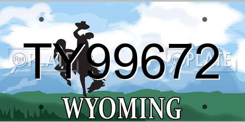 TY99672 Wyoming License Plate