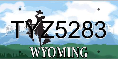TYZ5283 Wyoming License Plate