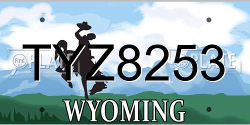 TYZ8253 Wyoming License Plate
