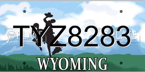 TYZ8283 Wyoming License Plate