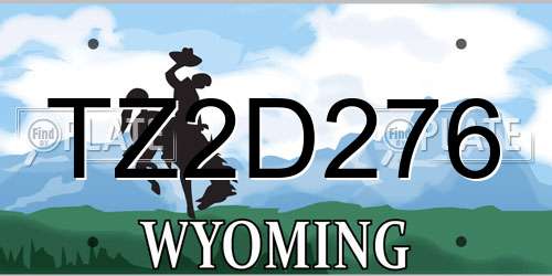 TZ2D276 Wyoming License Plate