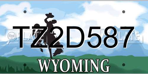 TZ2D587 Wyoming License Plate