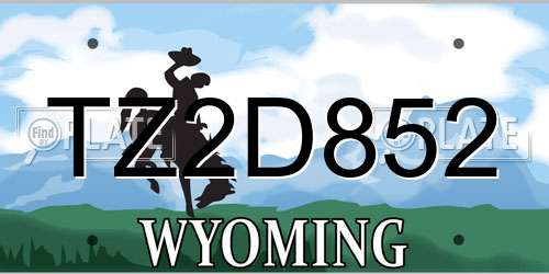 TZ2D852 Wyoming License Plate