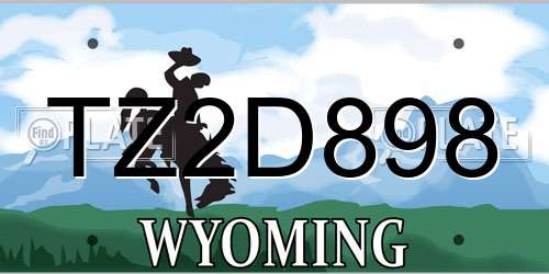 TZ2D898 Wyoming License Plate