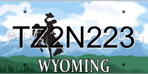 TZ2N223 Wyoming License Plate