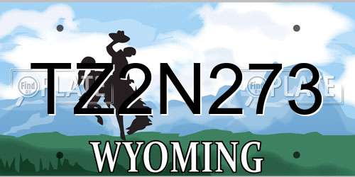 TZ2N273 Wyoming License Plate