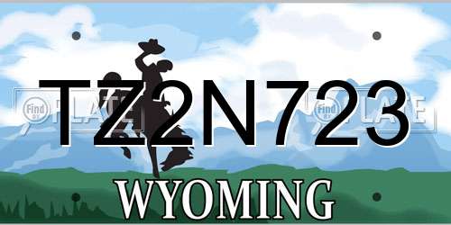 TZ2N723 Wyoming License Plate