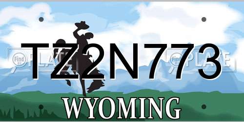 TZ2N773 Wyoming License Plate